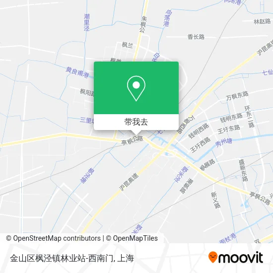 金山区枫泾镇林业站-西南门地图
