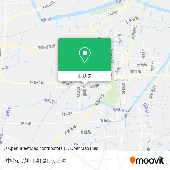 中心街/新引路(路口)地图