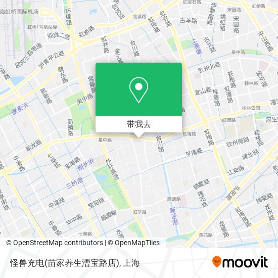 怪兽充电(苗家养生漕宝路店)地图