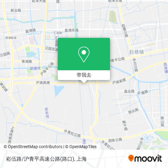 崧伍路/沪青平高速公路(路口)地图