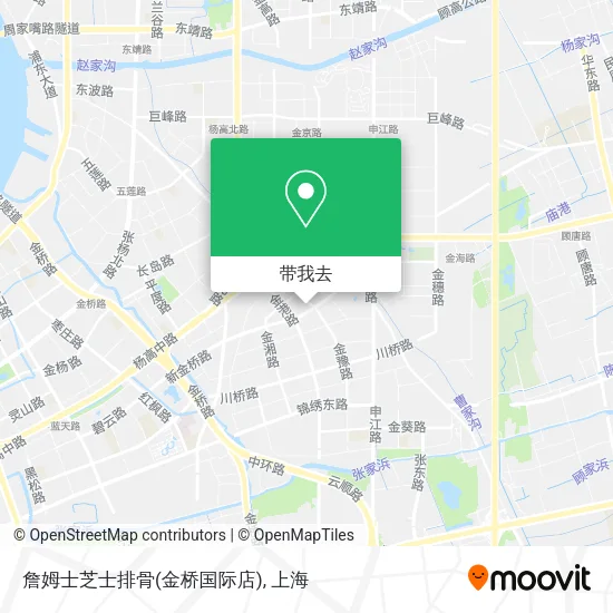 詹姆士芝士排骨(金桥国际店)地图