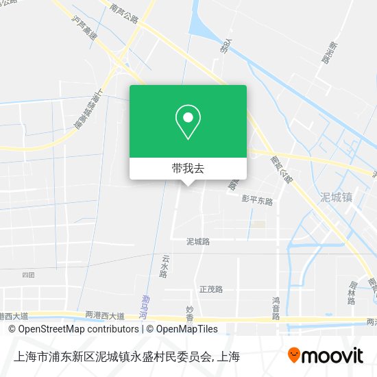 上海市浦东新区泥城镇永盛村民委员会地图