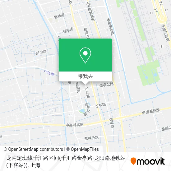 龙南定班线千汇路区间(千汇路金亭路-龙阳路地铁站(下客站))地图