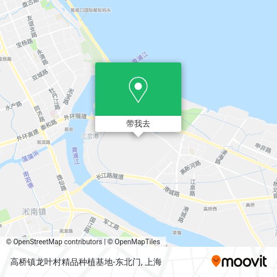 高桥镇龙叶村精品种植基地-东北门地图