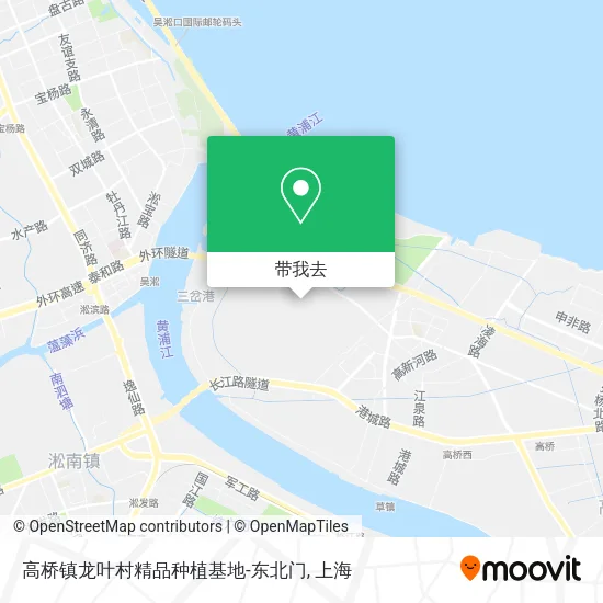 高桥镇龙叶村精品种植基地-东北门地图