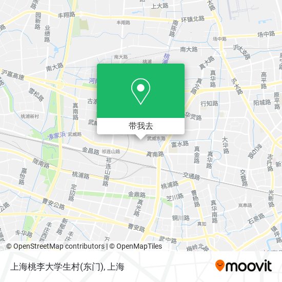 上海桃李大学生村(东门)地图