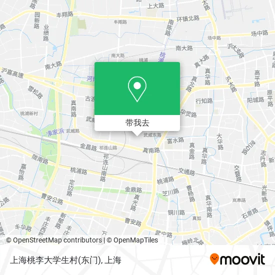 上海桃李大学生村(东门)地图