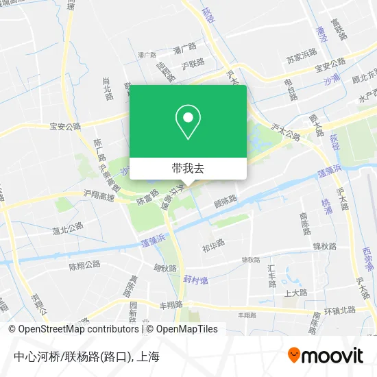 中心河桥/联杨路(路口)地图
