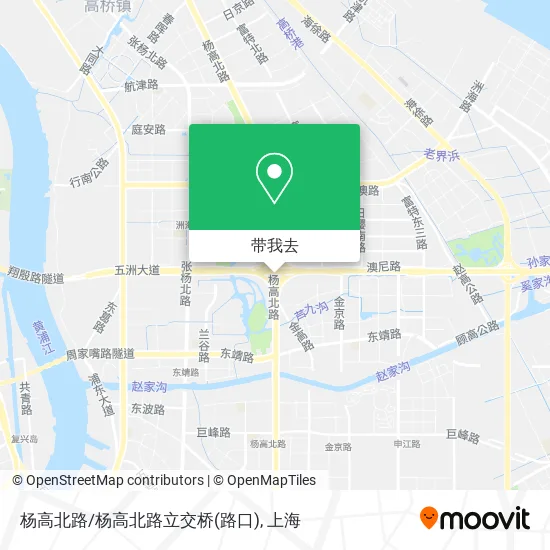 杨高北路/杨高北路立交桥(路口)地图