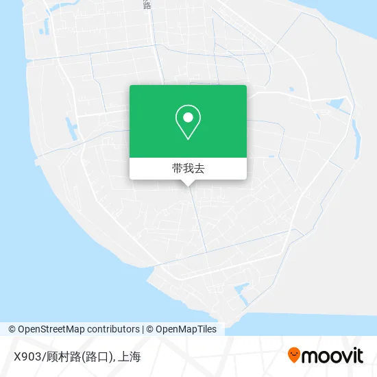 X903/顾村路(路口)地图