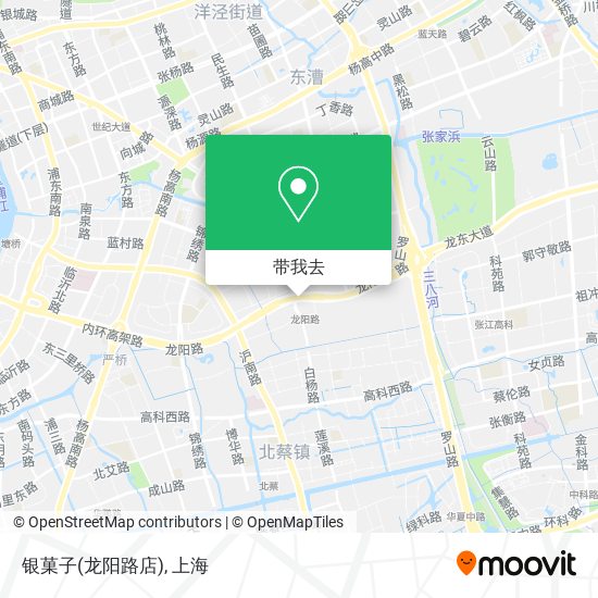 银菓子(龙阳路店)地图