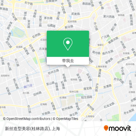 新丝造型美容(桂林路店)地图