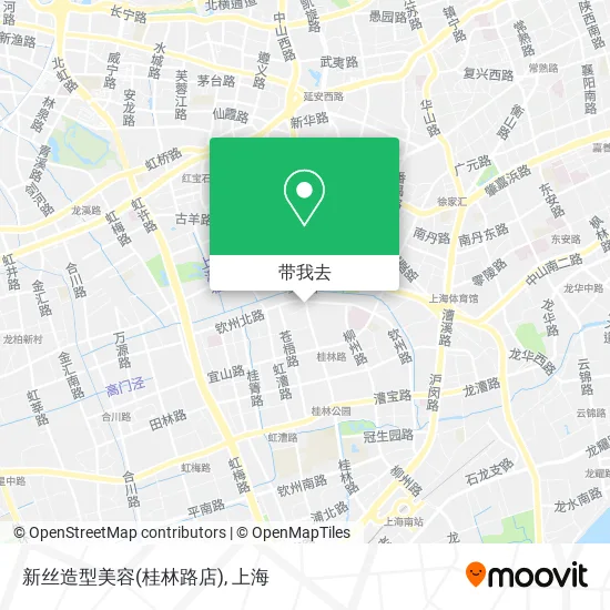 新丝造型美容(桂林路店)地图