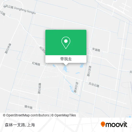 森林一支路地图