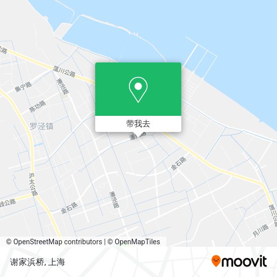 谢家浜桥地图