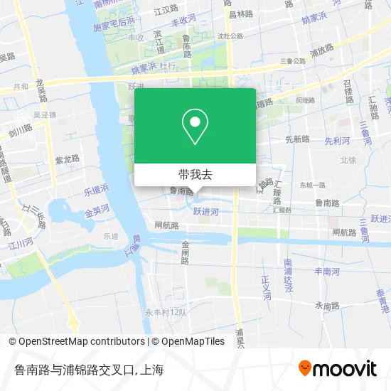 鲁南路与浦锦路交叉口地图