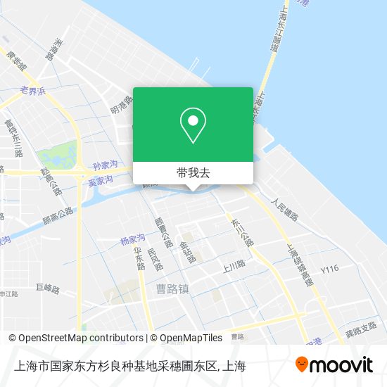 上海市国家东方杉良种基地采穗圃东区地图