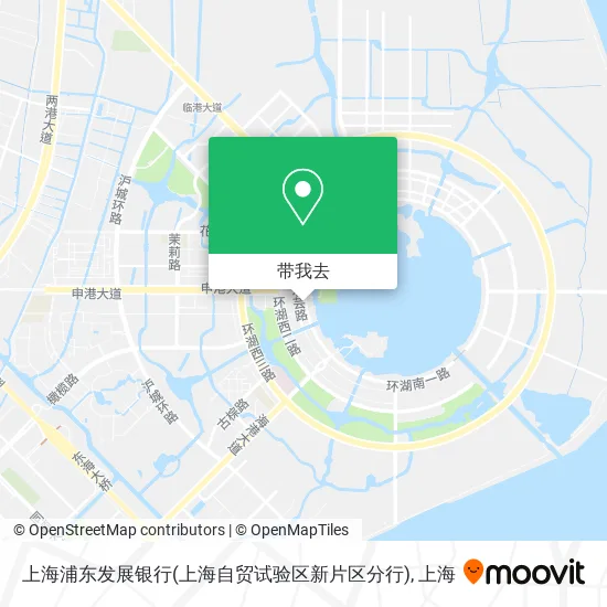 上海浦东发展银行(上海自贸试验区新片区分行)地图