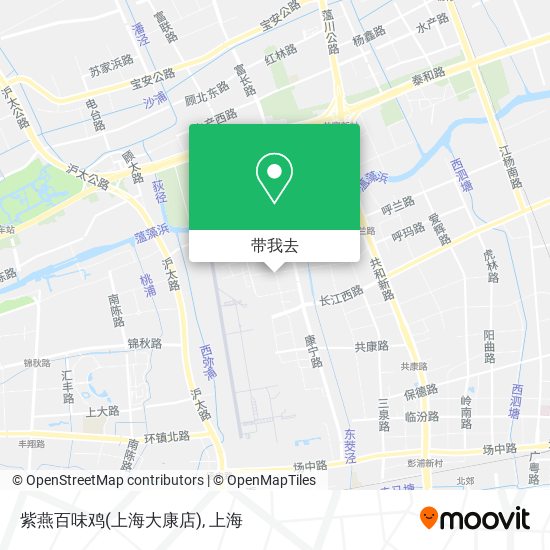 紫燕百味鸡(上海大康店)地图