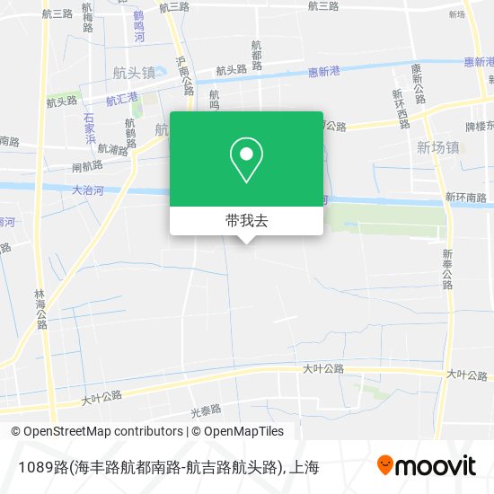 1089路(海丰路航都南路-航吉路航头路)地图