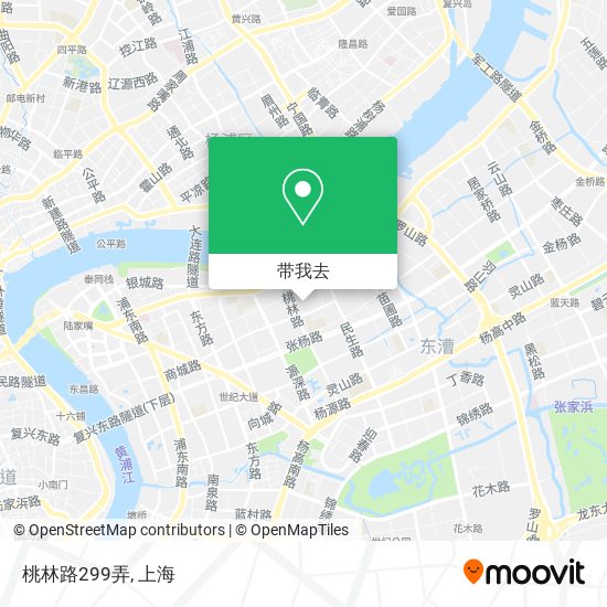 桃林路299弄地图
