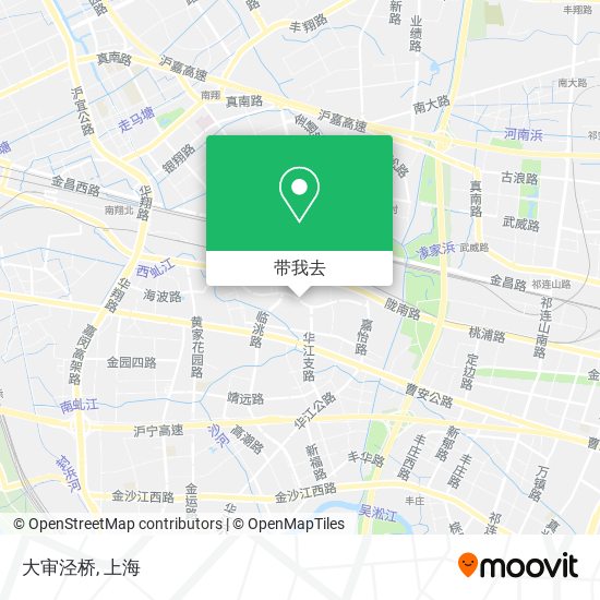 大审泾桥地图