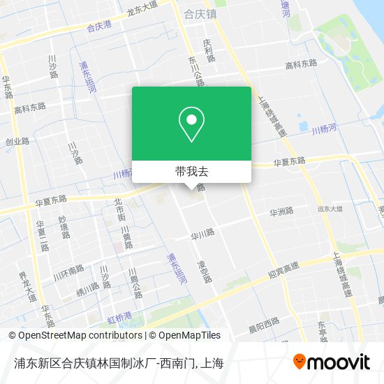 浦东新区合庆镇林国制冰厂-西南门地图