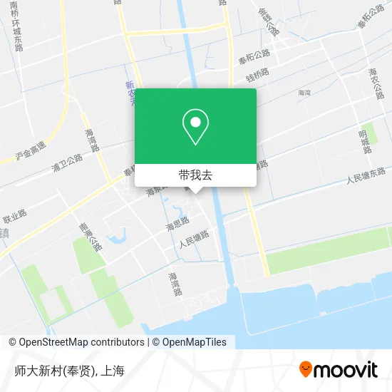 师大新村(奉贤)地图