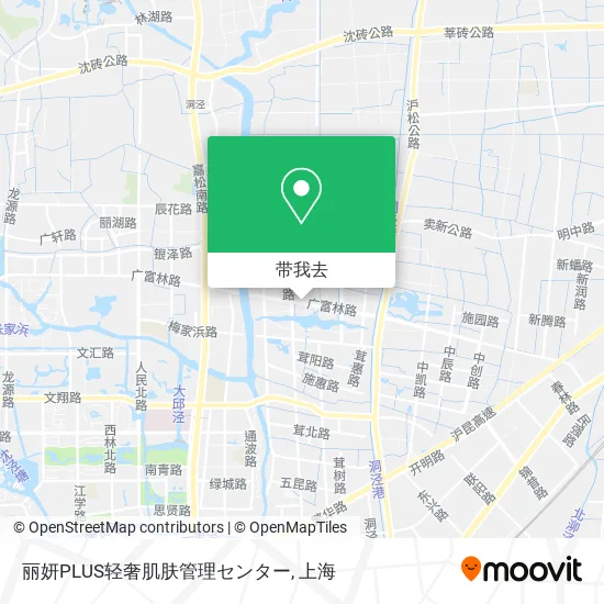 丽妍PLUS轻奢肌肤管理センター地图