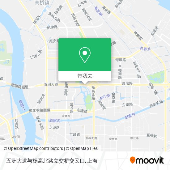 五洲大道与杨高北路立交桥交叉口地图