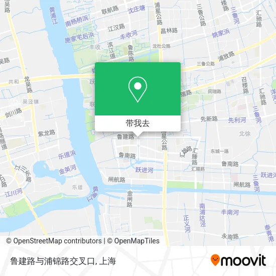 鲁建路与浦锦路交叉口地图
