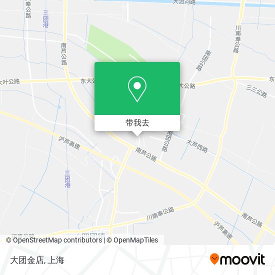 大团金店地图