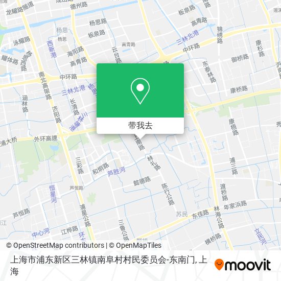 上海市浦东新区三林镇南阜村村民委员会-东南门地图