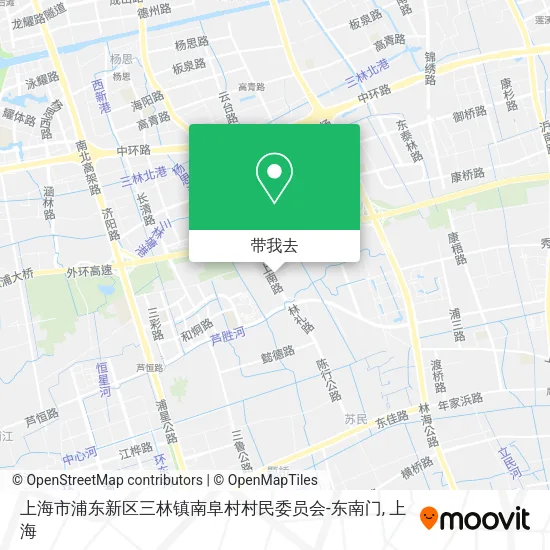 上海市浦东新区三林镇南阜村村民委员会-东南门地图
