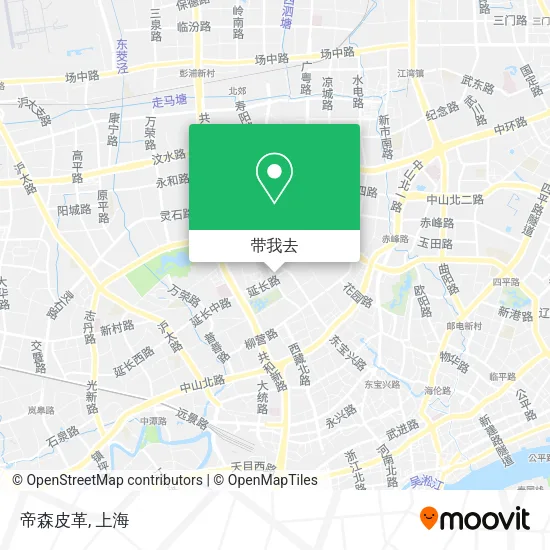 帝森皮革地图