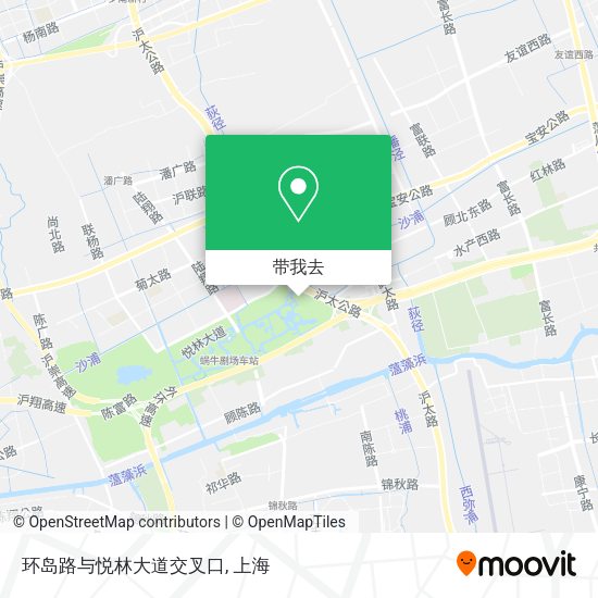 环岛路与悦林大道交叉口地图