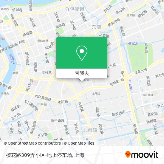 樱花路309弄小区-地上停车场地图