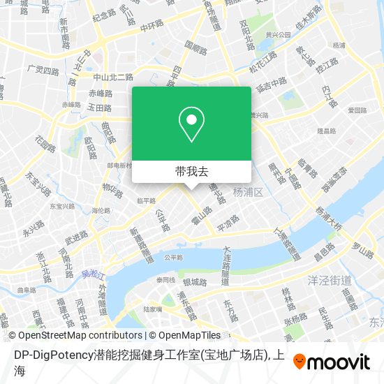 DP-DigPotency潜能挖掘健身工作室(宝地广场店)地图