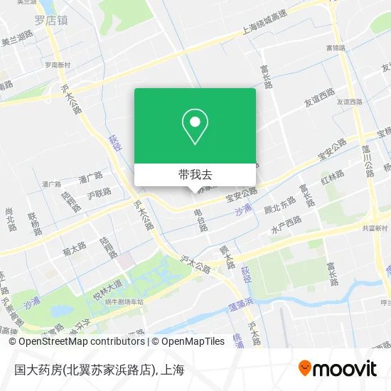 国大药房(北翼苏家浜路店)地图