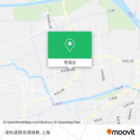 老松蒸路东泖港桥地图