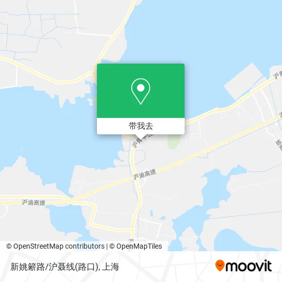 新姚簖路/沪聂线(路口)地图