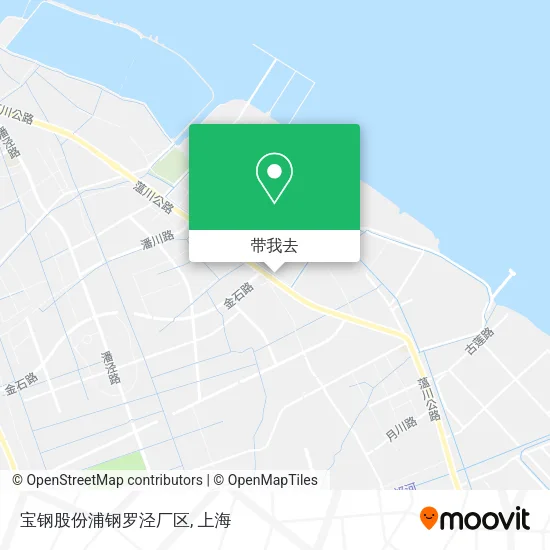 宝钢股份浦钢罗泾厂区地图