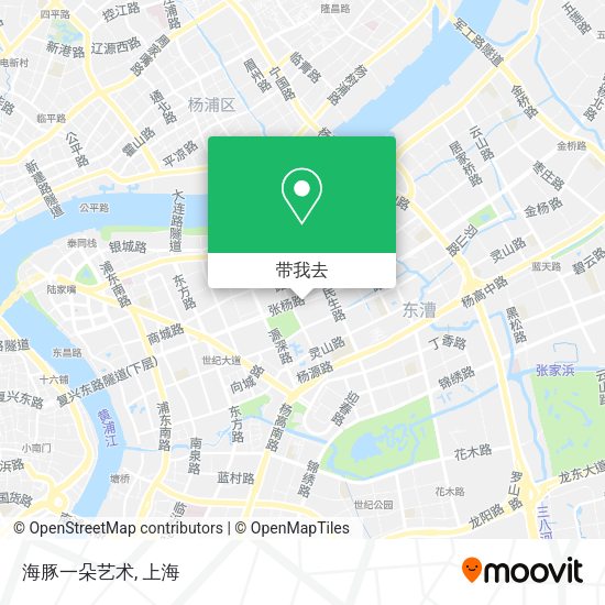 海豚一朵艺术地图