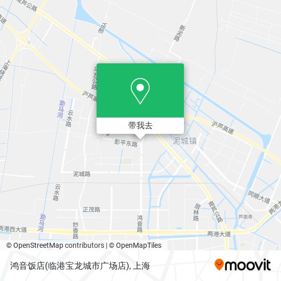 鸿音饭店(临港宝龙城市广场店)地图