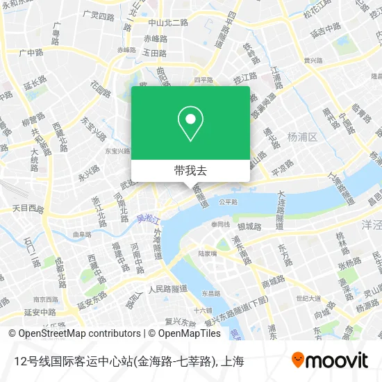 12号线国际客运中心站(金海路-七莘路)地图