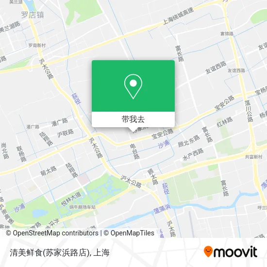 清美鲜食(苏家浜路店)地图