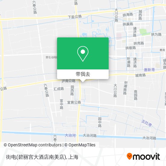 街电(碧丽宫大酒店南美店)地图
