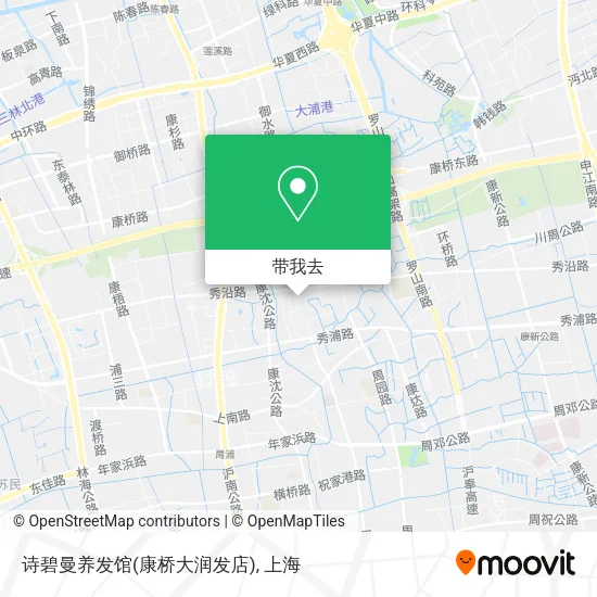 诗碧曼养发馆(康桥大润发店)地图