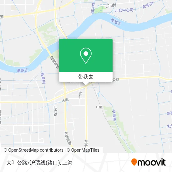 大叶公路/沪瑞线(路口)地图
