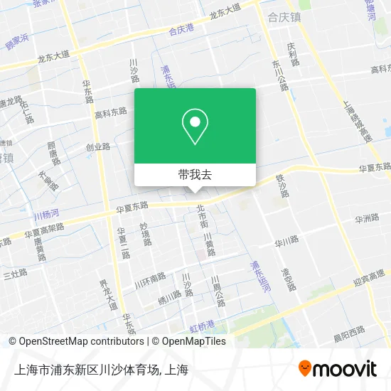 上海市浦东新区川沙体育场地图